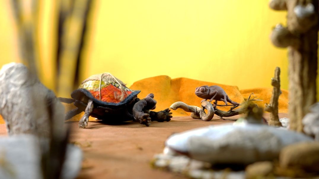 Under the shell, a world