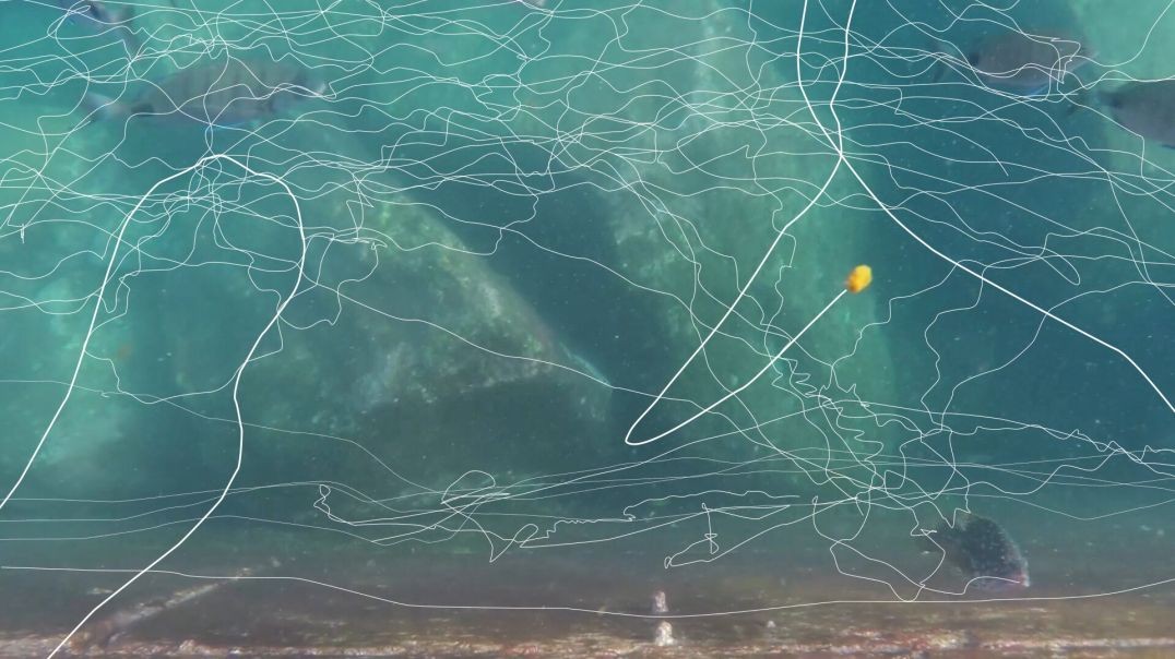 movement. dim∑nsion. impact.