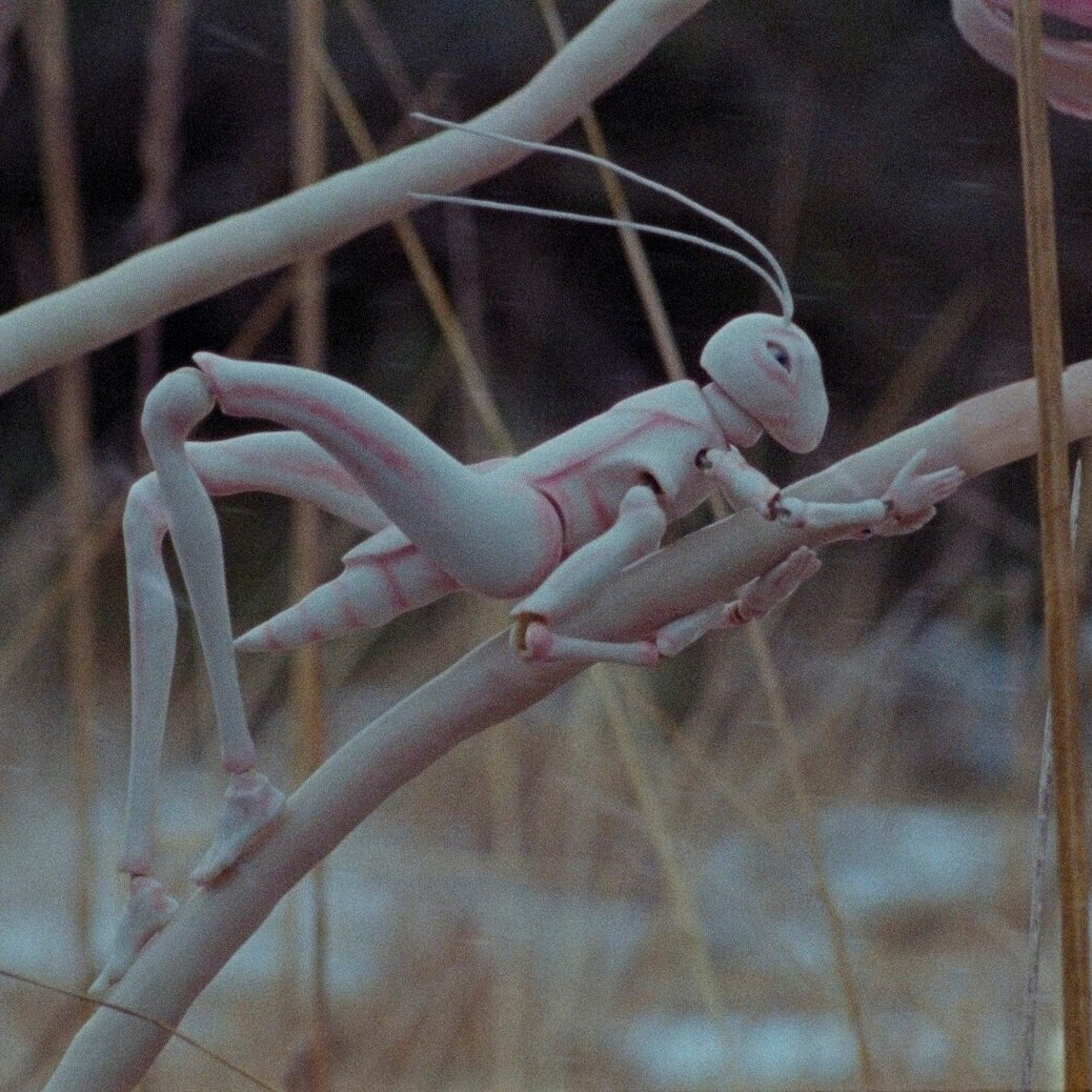 On Weary Wings Go By 2 On Weary Wings Go By 2