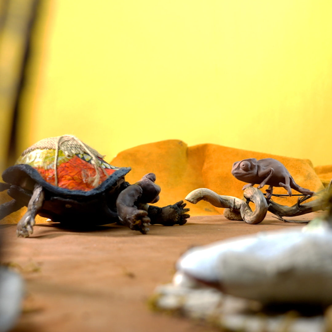 Under the shell Under the shell